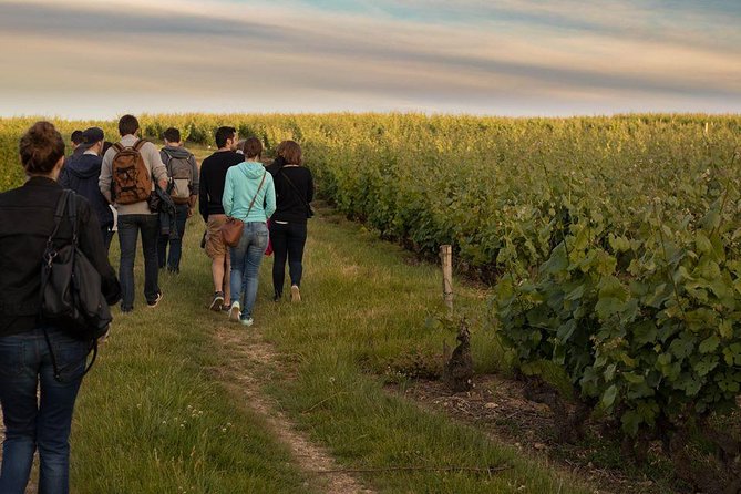 Tour of a Vineyard, Winery & Cellar with Wine Tasting in Vouvray, Loire Valley - What the tour includes, and what it does not
