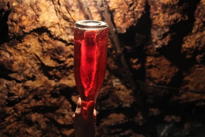 Tour of a Vineyard, Winery & Cellar with Wine Tasting in Vouvray, Loire Valley - Group size, timing, and walking comfort
