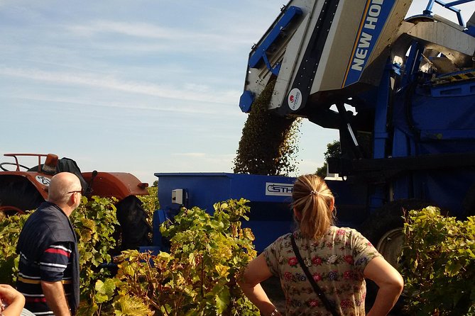 Tour of a Vineyard, Winery & Cellar with Wine Tasting in Vouvray, Loire Valley - Is this $65.17 a good value in the Loire Valley?