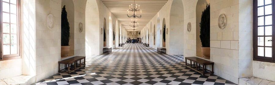 Tours/Amboise: Chambord, Chenonceau Day Trip & Wine Tasting - Key things to know before you go