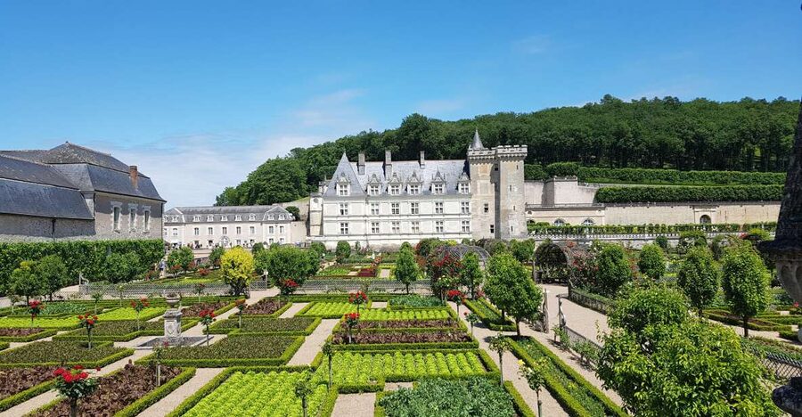 Tours: Chateaux Azay-le-Rideau and Villandry Morning Tour - Château de Villandry gardens, maze turns and vegetable garden comfort