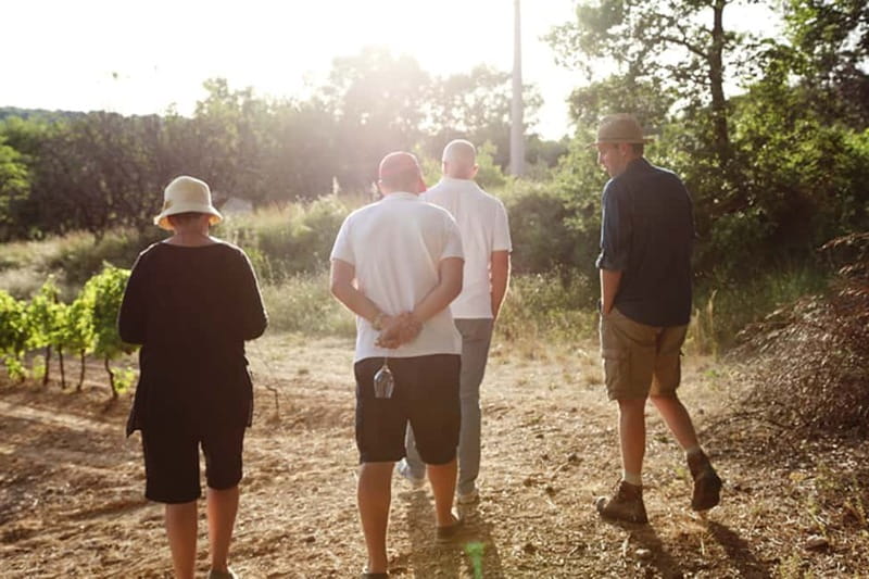 Truffle Hunting in Provence - A Luberon truffle hunt that feels like real farm life