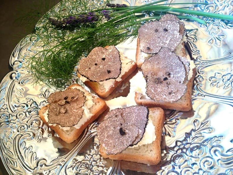 Truffle Hunting in Provence - How to plan logistics from Aix and Marseille, and what to pack