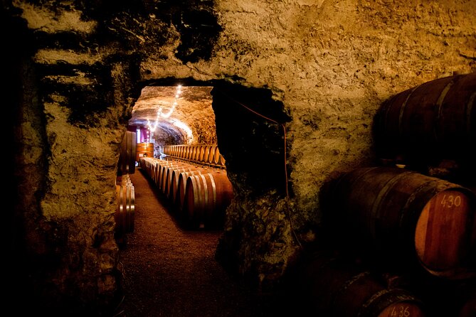 Unusual visit & Tasting of our organic wines - Stepping into Château de Luc: underground cellar and the Grande Cuisine