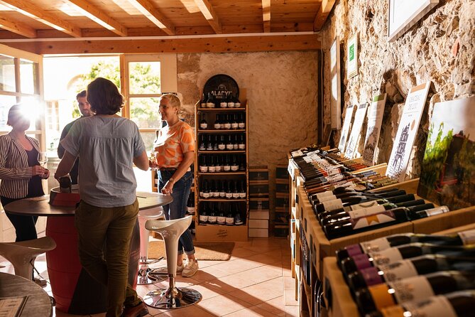 Unusual visit & Tasting of our organic wines - Should you book Château de Luc’s organic wine visit?