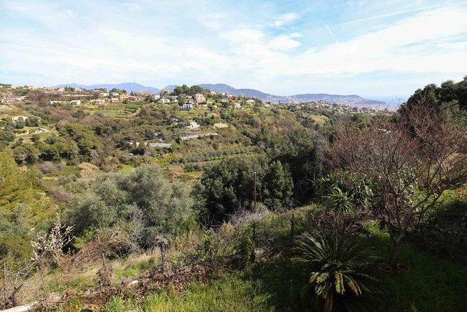 Viator Exclusive: Local Cooking Class & Dinner with View of Nice - Should you book this Nice local cooking class?