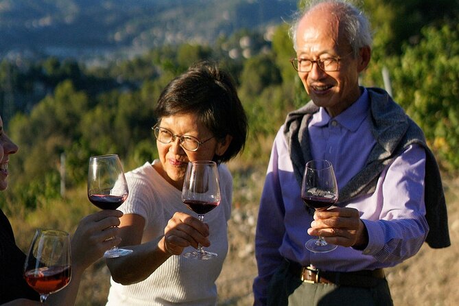 Vineyard Tour with Wine Tasting within Nice city borders - Bellet wine lessons you can taste right away