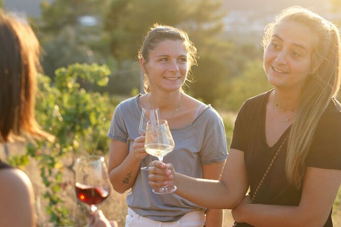 Vineyard Tour with Wine Tasting within Nice city borders - Timing and pacing: about 1.5 to 2 hours for wine lovers
