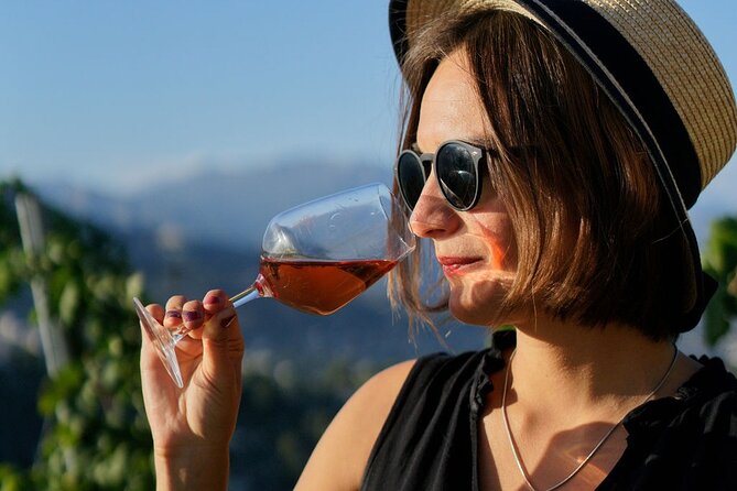 Vineyard Tour with Wine Tasting within Nice city borders - Getting there: public transit is nearby, taxis help