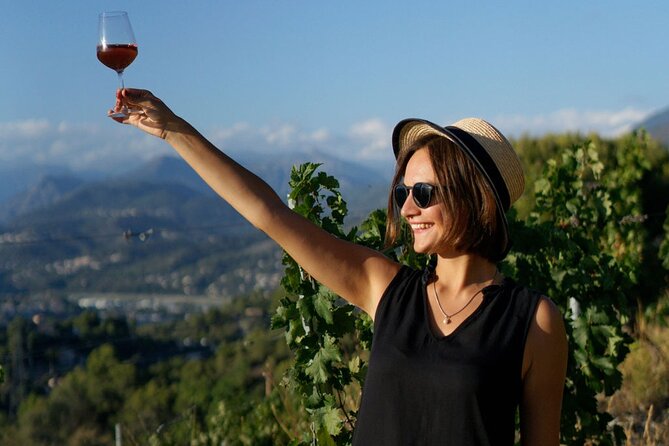 Vineyard Tour with Wine Tasting within Nice city borders - Price, value, and what to expect on site