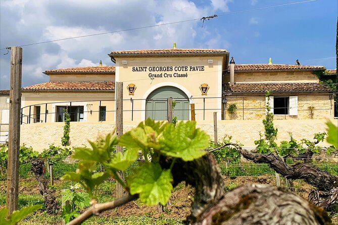 Visit and Tasting Château Saint-Georges Cote Pavie, Grand Cru Classé - Key highlights you should know