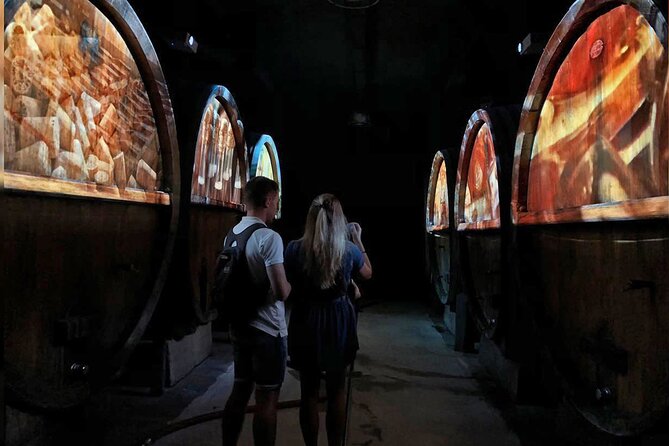 Visit of Cave Immersive - tasting - Kougelhopf to Strasbourg - The guide makes the day