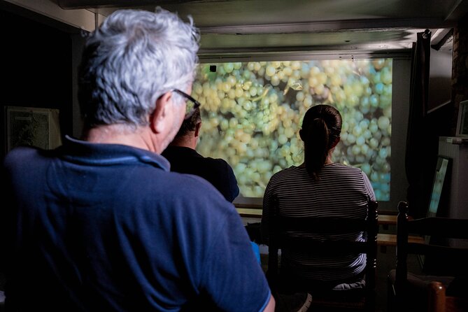 Visit of Cave Immersive - tasting - Kougelhopf to Strasbourg - Should you book Vins Zeyssolff for kougelhopf and Alsace wine?