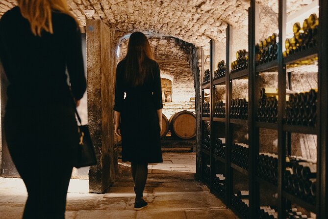 Visit of our 15th century cellars - Key highlights worth showing up for