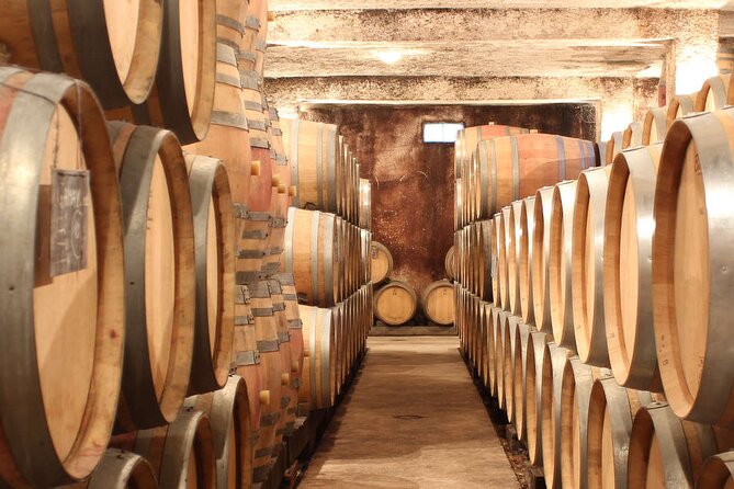 Visit-Tasting-Sale - The Cellars: Where the Wine Story Becomes Real