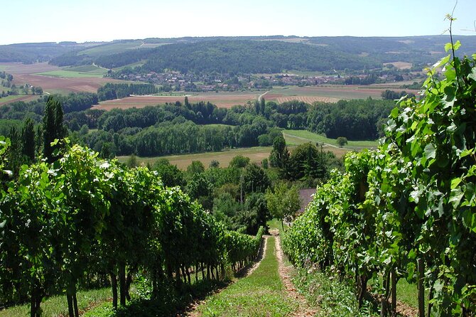 Visit-Tasting-Sale - Who This Tour Suits Best, and When to Make It Your Priority