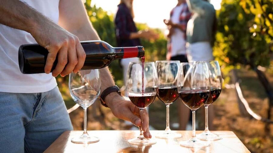 Visit the vineyards and discover Bandol wines - Quick hits on this Bandol wine experience