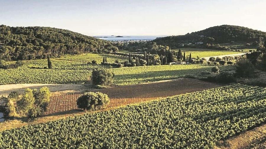 Visit the vineyards and discover Bandol wines - Door-to-door logistics: 4x4 comfort and a smart 2-hour pace