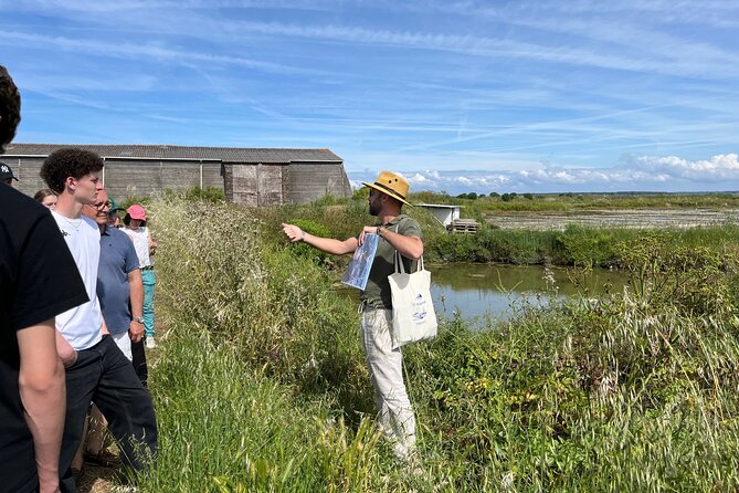 Visit to Saline - Guérande Salt Marshes - Key Highlights You Should Not Miss