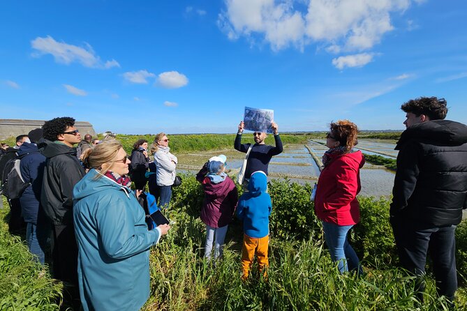 Visit to Saline - Guérande Salt Marshes - Price and Timing: Good Value for a Focused 1-Hour Visit