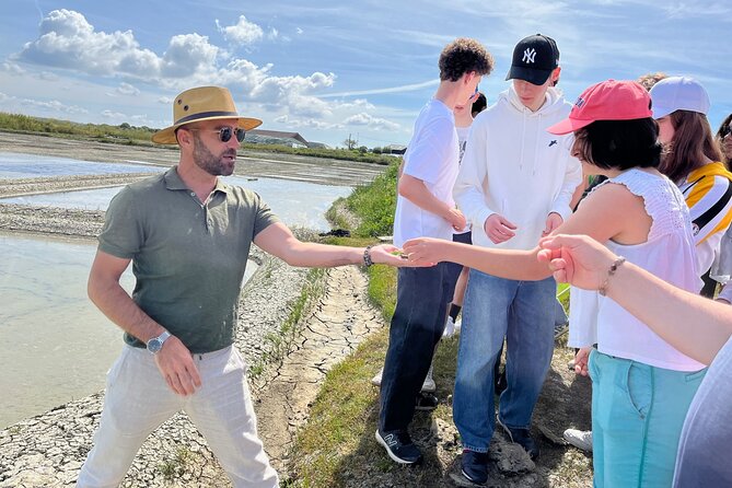 Visit to Saline - Guérande Salt Marshes - Why the Guide Matters as Much as the Marsh