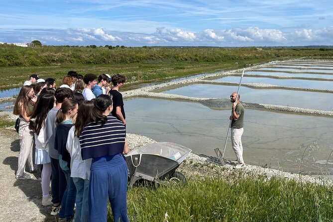 Visit to Saline - Guérande Salt Marshes - Practical Tips for a Smooth Salt Marsh Visit