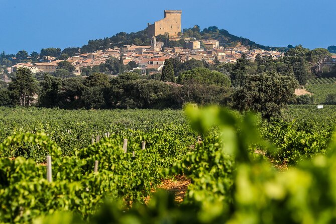 Wine Tasting Tour at Châteauneuf du Pape - Key Highlights You’ll Care About