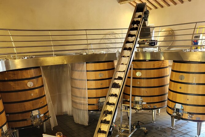 Wine Tasting Tour at Châteauneuf du Pape - Châteauneuf-du-Pape Wine Tasting Starts With the Setting