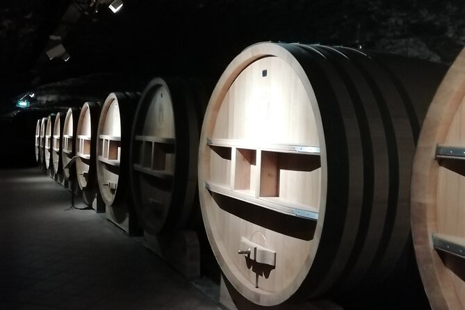 Wine Tasting Tour at Châteauneuf du Pape - What You’ll Taste, and How to Read the Day