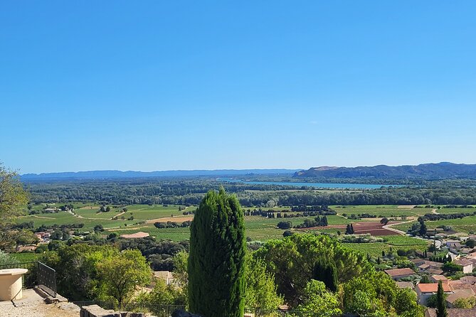 Wine Tasting Tour at Châteauneuf du Pape - Wine Stops, Relationships With Producers, and Why That Matters