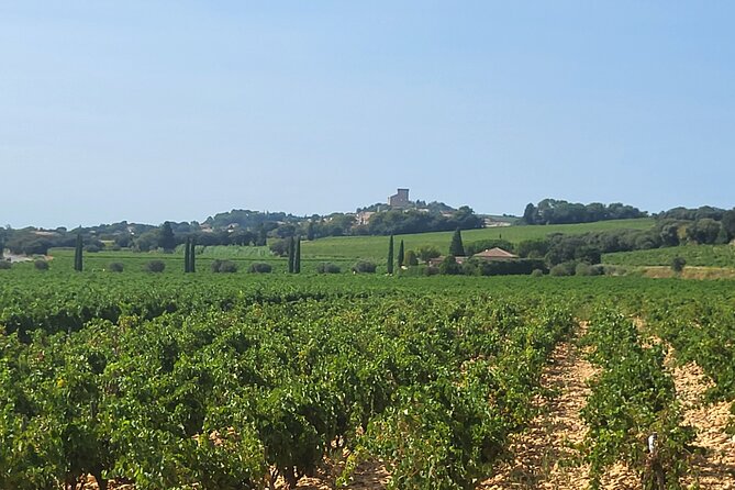 Wine Tasting Tour at Châteauneuf du Pape - The Price of $113.84, and When It’s a Good Deal