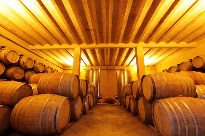 Winery Tour & Wine Tasting - Deli Plate & 3 Wines - Quick hits at OVineyards (what to expect)