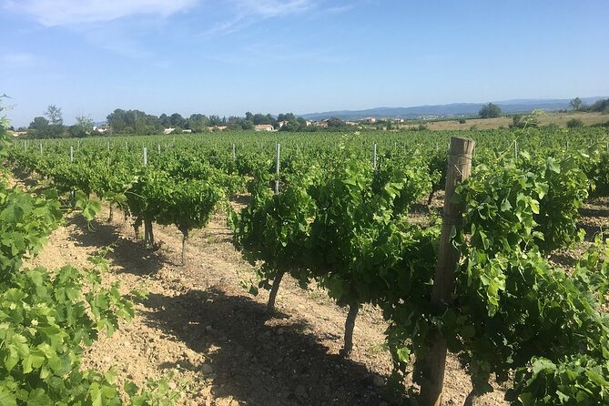Winery Tour & Wine Tasting - Deli Plate & 3 Wines - Meeting the winemaker on his own turf