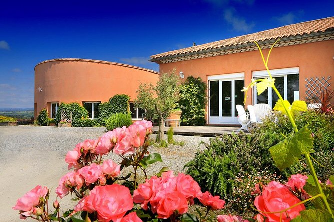 Winery Tour & Wine Tasting - Deli Plate & 3 Wines - Tasting 3 wines with a deli plate and hors d’oeuvres