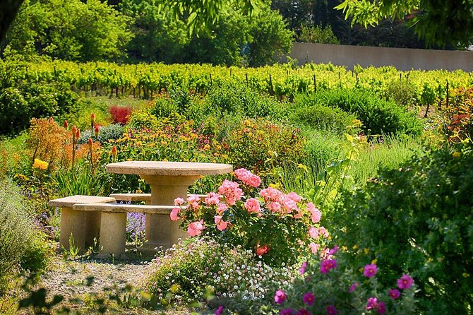 Winery Tour & Wine Tasting - Deli Plate & 3 Wines - Food and wine pairing, kept simple and actually useful