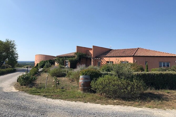 Winery Tour & Wine Tasting - Deli Plate & 3 Wines - The cellar walk that connects vineyard to bottle