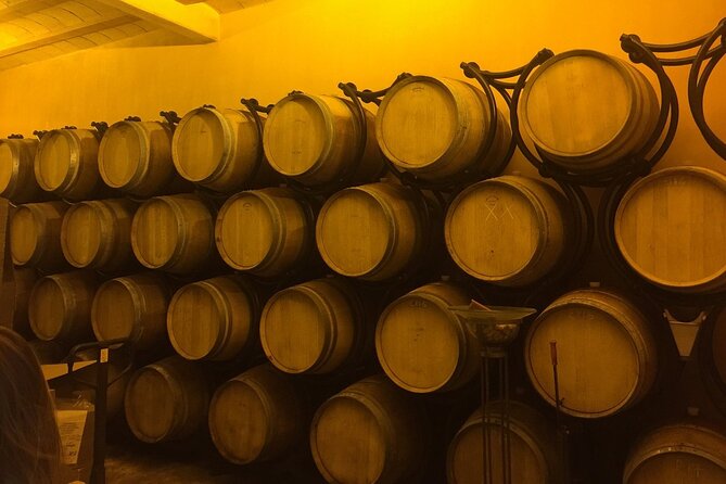 Winery Visit with Food and Wine in Carcassonne - Setting and group size: small enough to feel personal